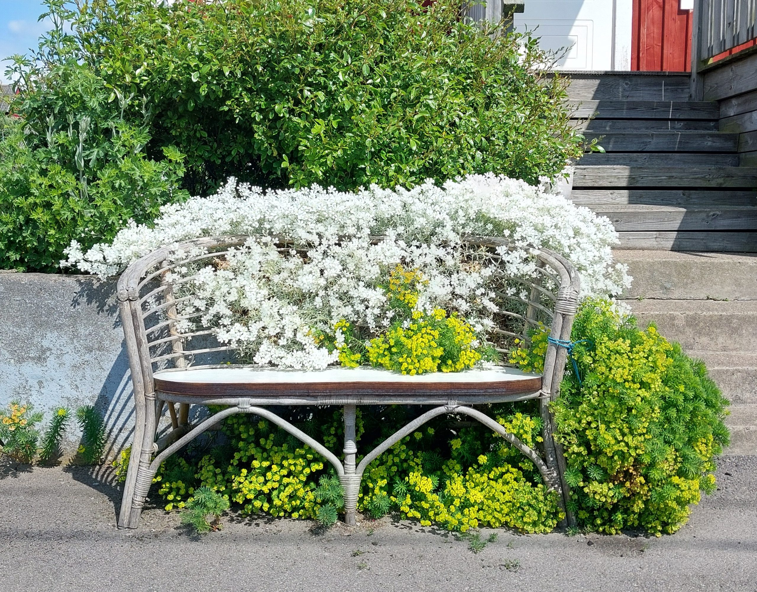 Idylle auf Hanö