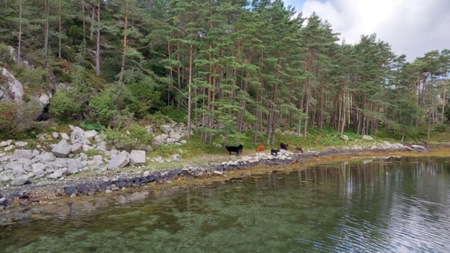 23-6Bergen-Stavanger-006
