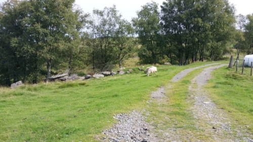 23-6Bergen-Stavanger-045