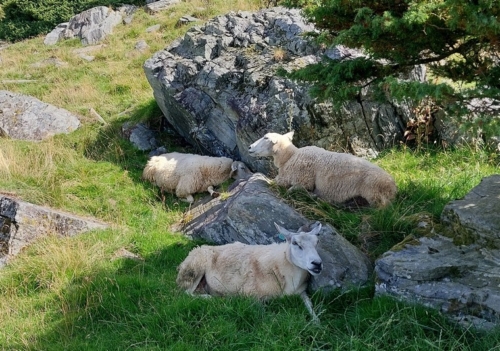 23-6Bergen-Stavanger-054