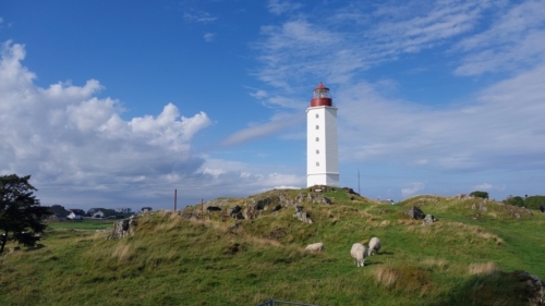 23-7Stavanger-Thyboroen-011