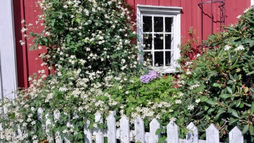 23-7Stavanger-Thyboroen-043