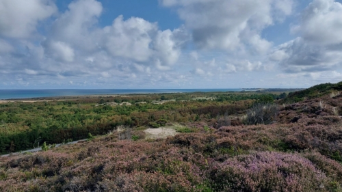 23-8Limfjord-FlensburgerFörde-027