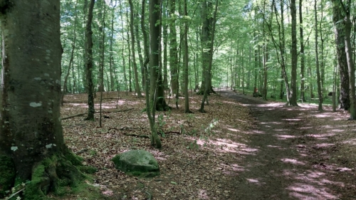 2505Ostsee055