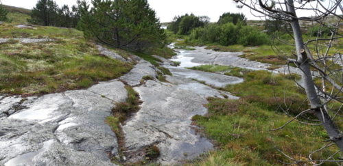 NorwegenTrondheim-Rörvik2022-013