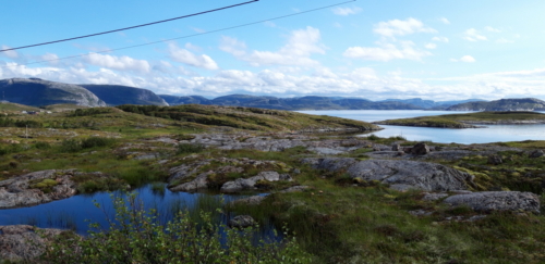 NorwegenTrondheim-Rörvik2022-014