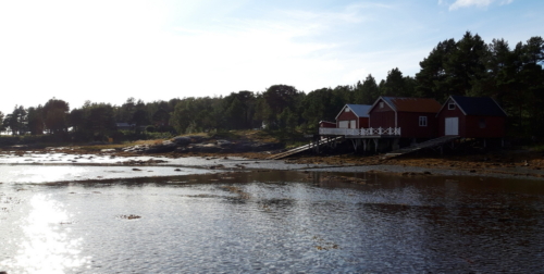 NorwegenTrondheim-Rörvik2022-059