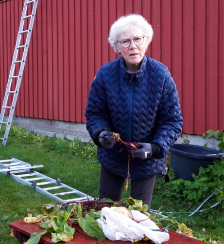 NorwegenÖrnes-Bogöy-Oslo2022-061