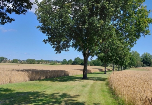 OS2407c051